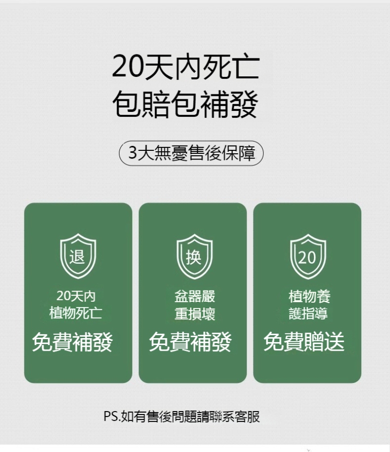 1747814906567377.jpg